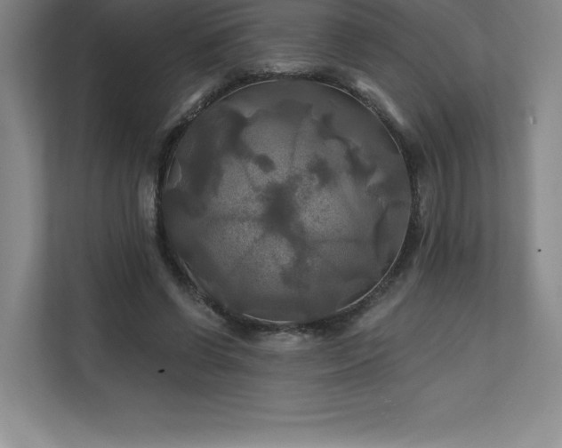 X0000111240542200907021413