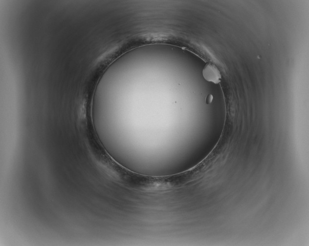 X0000111240543200907021413