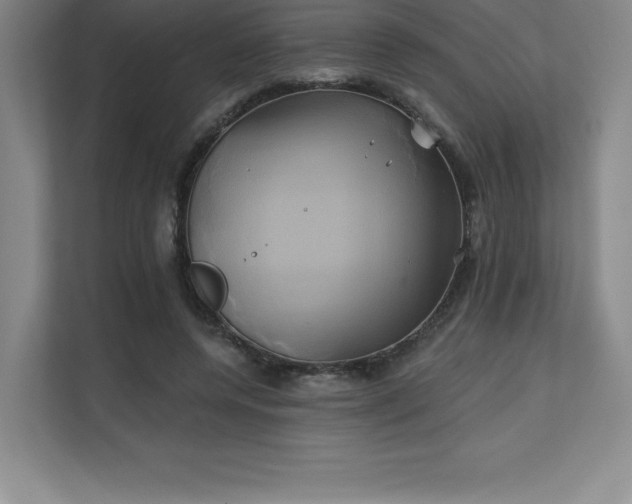 X0000111240544200907021413