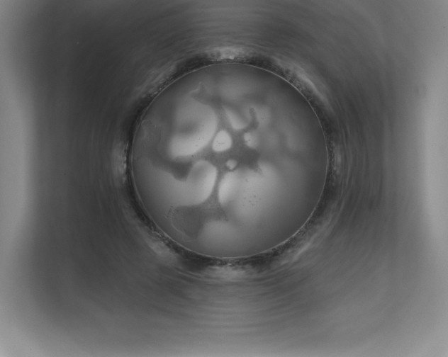 X0000111240545200907021413