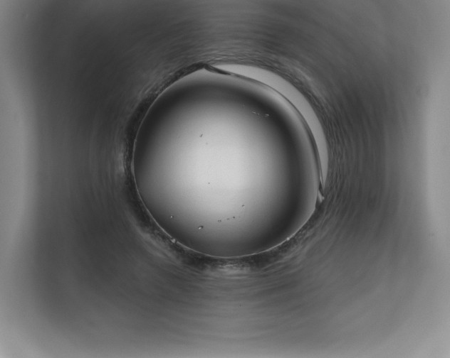 X0000111240546200907021413