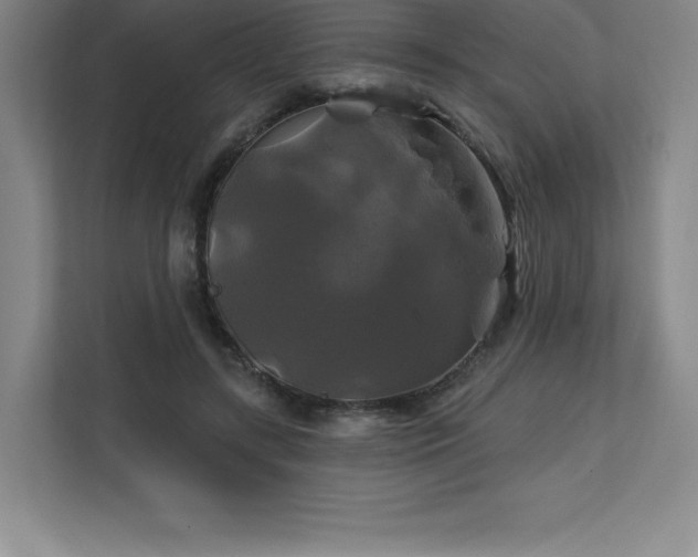 X0000111240547200907021413