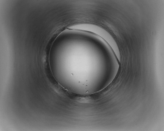 X0000111240548200907021413