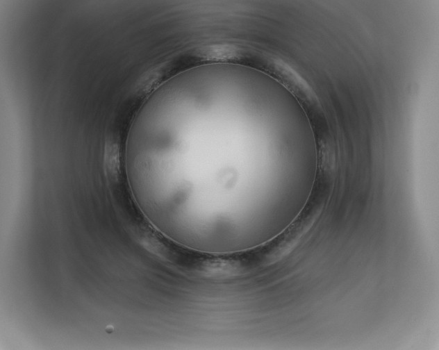 X0000111240549200907021413