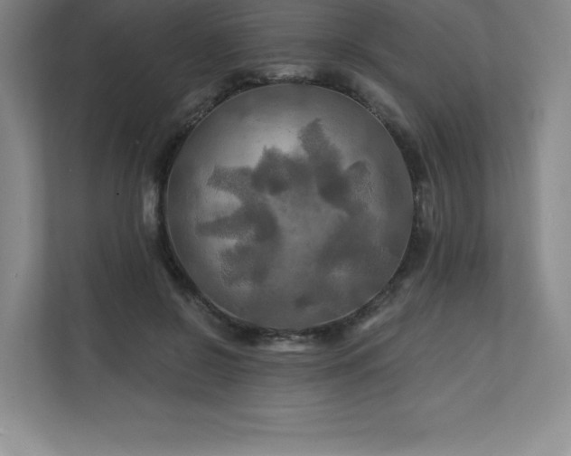 X0000111240550200907021413