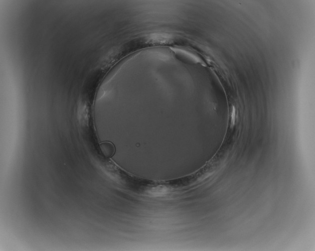 X0000111240551200907021413