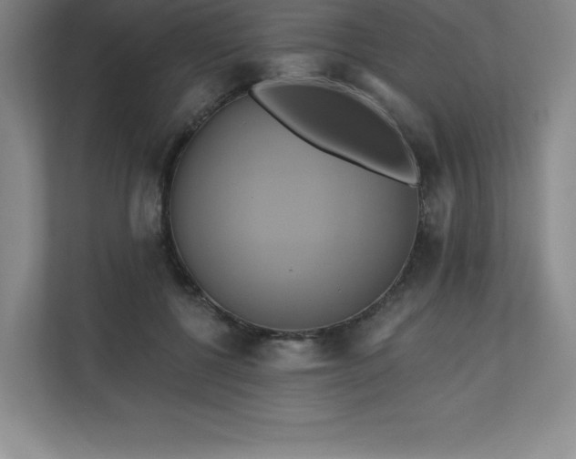 X0000111240552200907021413