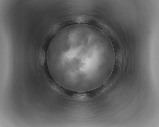 X0000111240554200907021413
