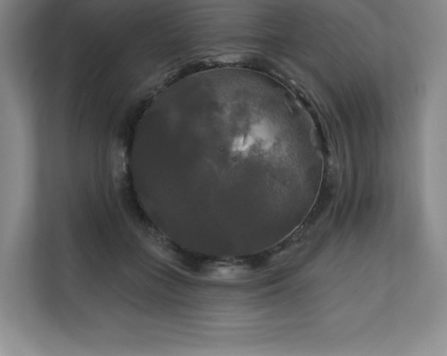 X0000111240555200907021413