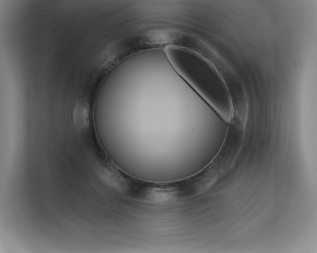 X0000111240556200907021413