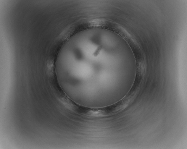X0000111240557200907021413