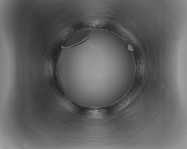 X0000111240558200907021413