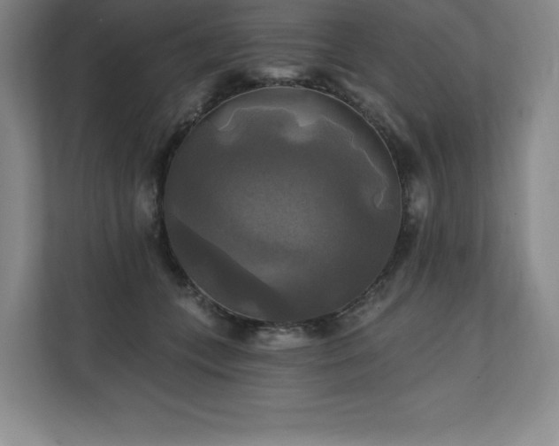 X0000111240559200907021413