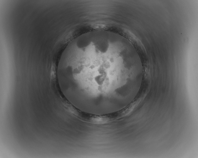 X0000111240561200907021413