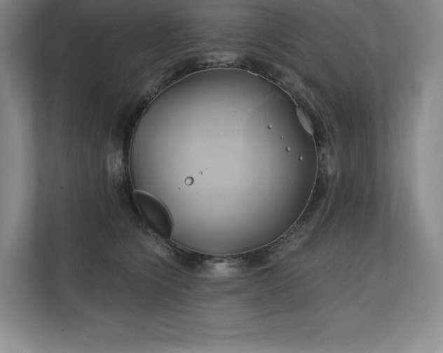 X0000111240564200907021413