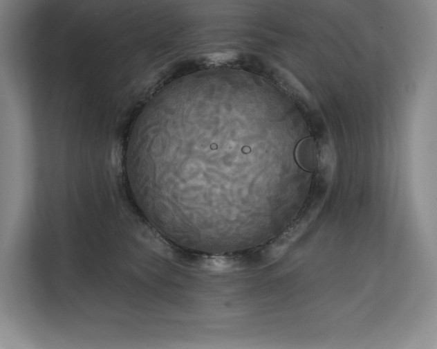 X0000111240565200907021413
