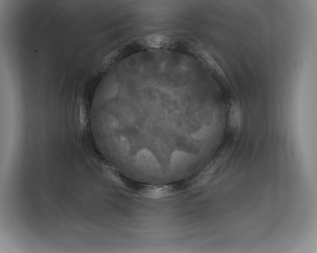 X0000111240569200907021413