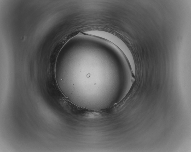 X0000111240572200907021413