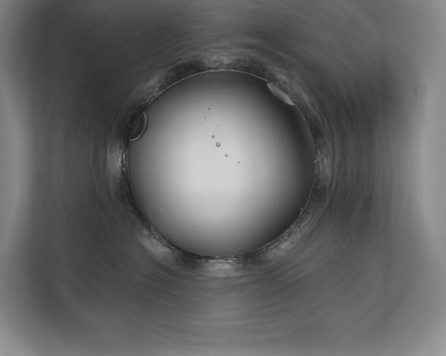 X0000111240574200907021413
