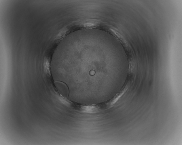X0000111240575200907021413