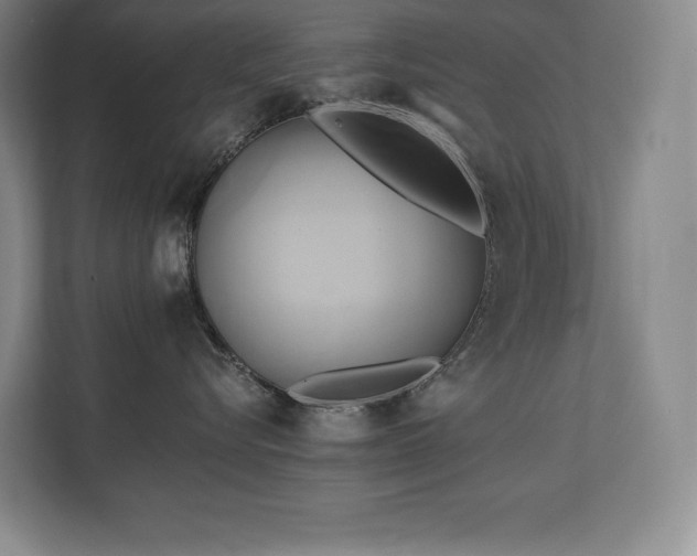 X0000111240576200907021413