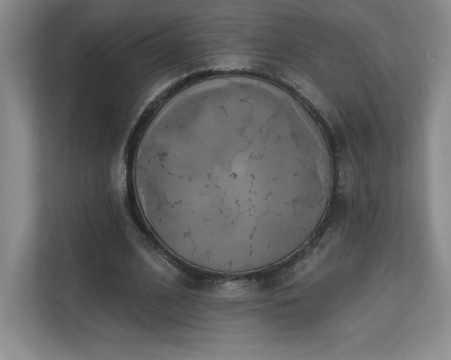 X0000111240584200907021413