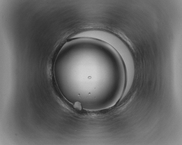 X0000111240585200907021413