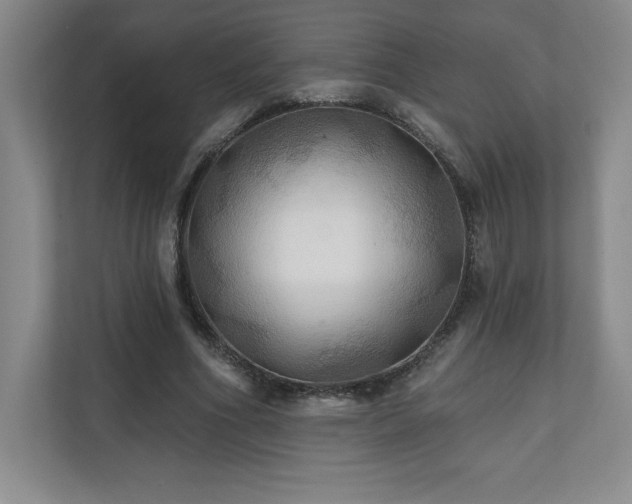 X0000111240586200907021413