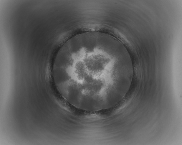 X0000111240594200907021413