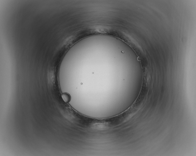X0000111240595200907021413