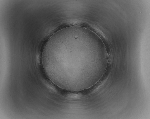 X0000111240597200907021413