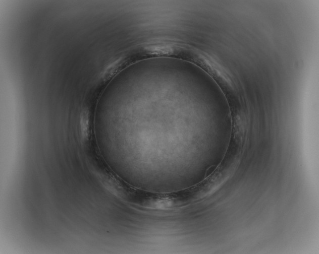 X0000111240600200907021413