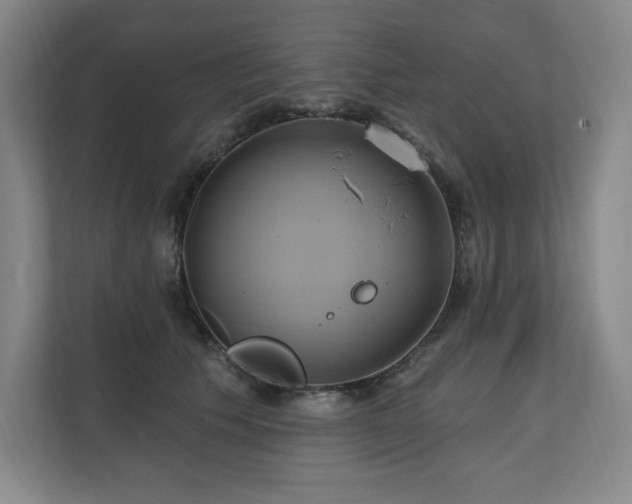 X0000111240609200907021412