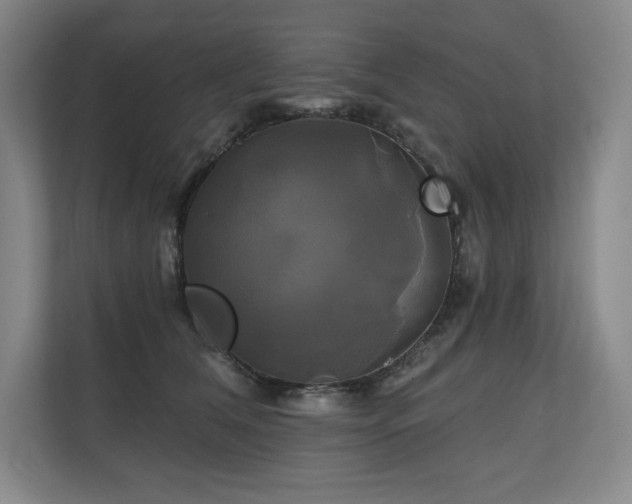 X0000111240612200907021412