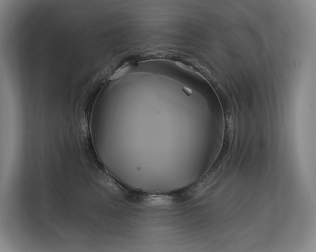 X0000111240617200907021412