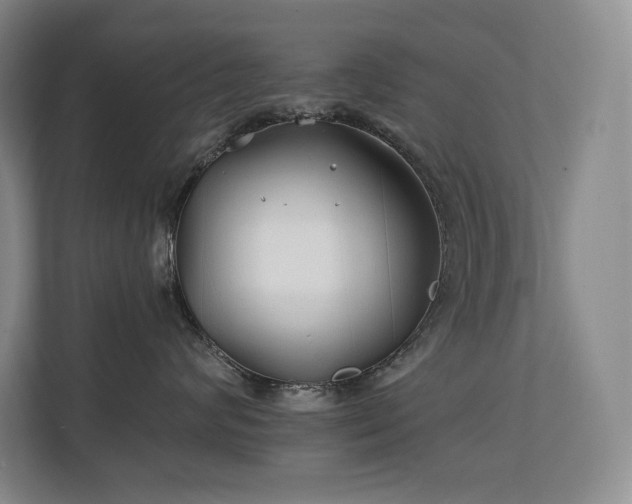 X0000111240624200907021412