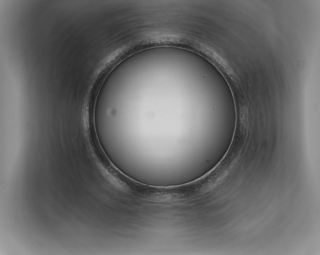 X0000111240629200907021412