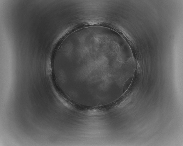 X0000111240634200907021412