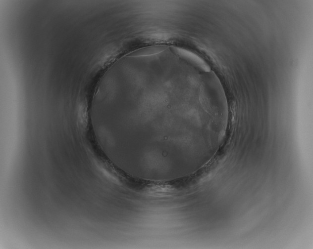 X0000111240642200907021412