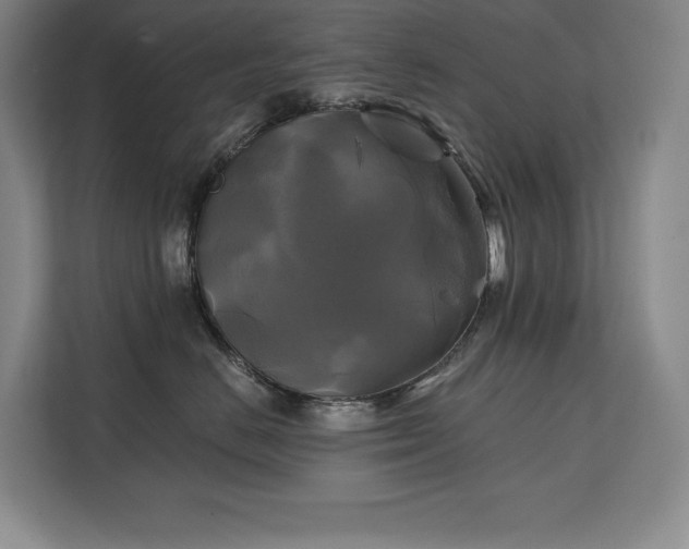 X0000111240670200907021412