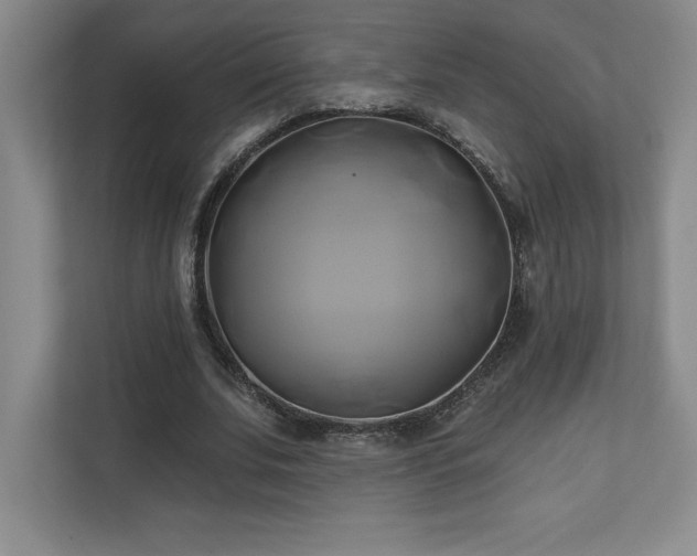 X0000111240679200907021411