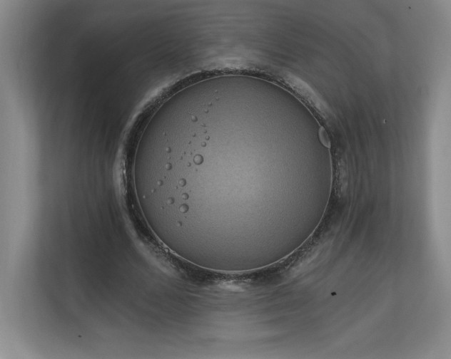 X0000111240680200907021411