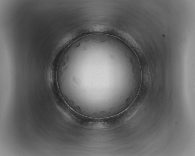 X0000111240683200907021411