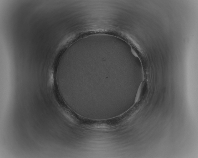 X0000111240685200907021411