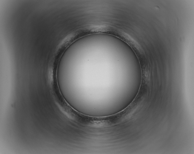 X0000111240686200907021411