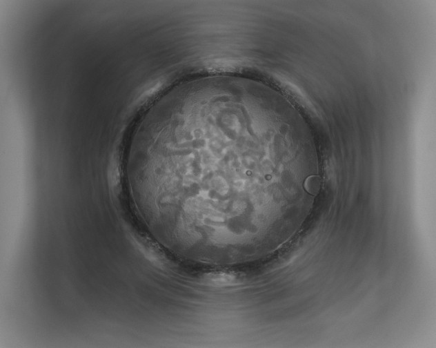 X0000111240687200907021411