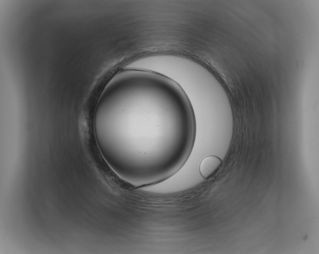 X0000111240688200907021411