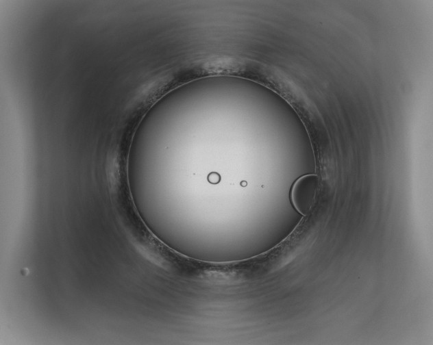 X0000111240690200907021411