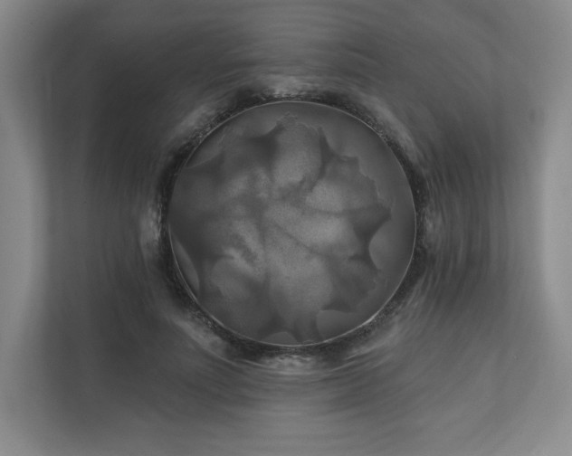 X0000111240691200907021411