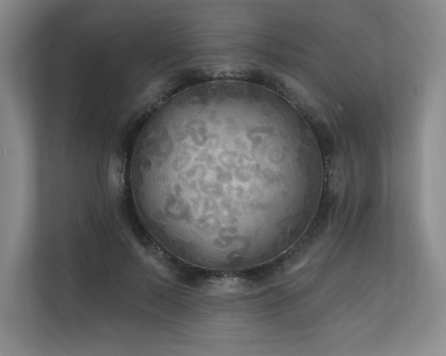 X0000111240695200907021411